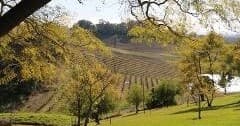 Luxury Three-Quarter-Day Private Wine Tour in Hunter Valley: Boutique Tastings & Local Flavors