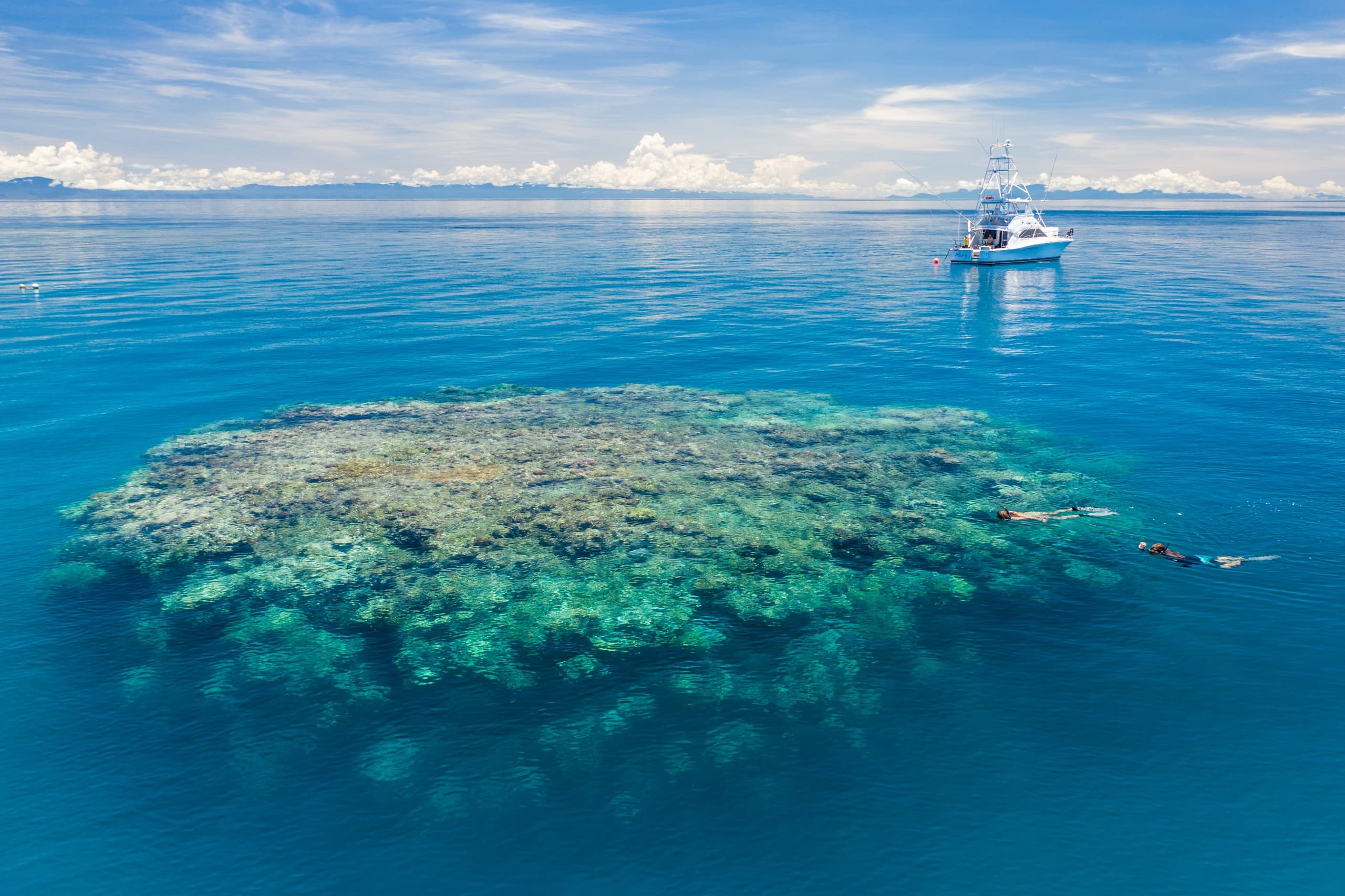 Water Activities & Allure Charters: Snorkel the Great Barrier Reef
