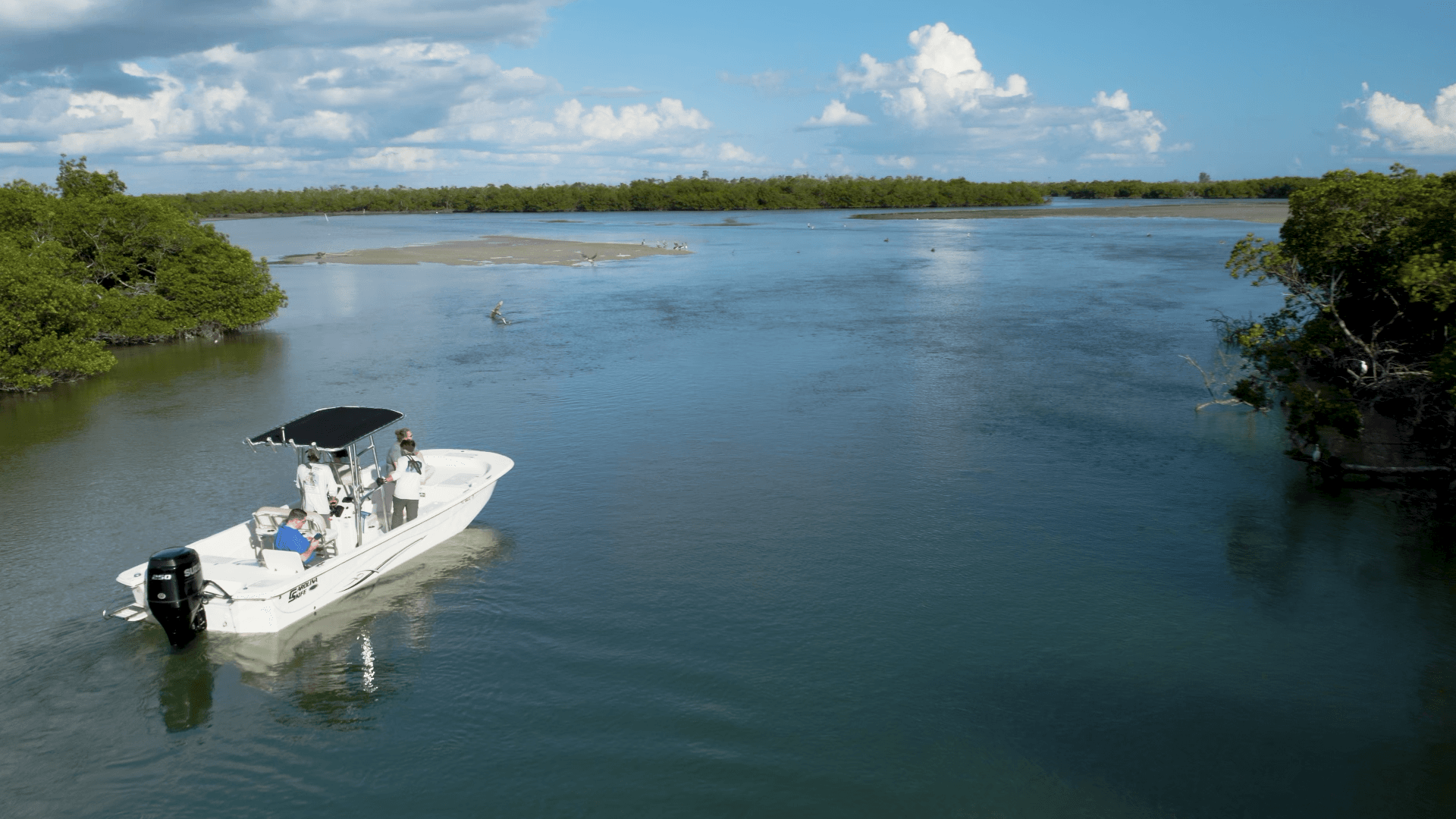 Aerial boat cruising through mangrove-lined coastal inlet