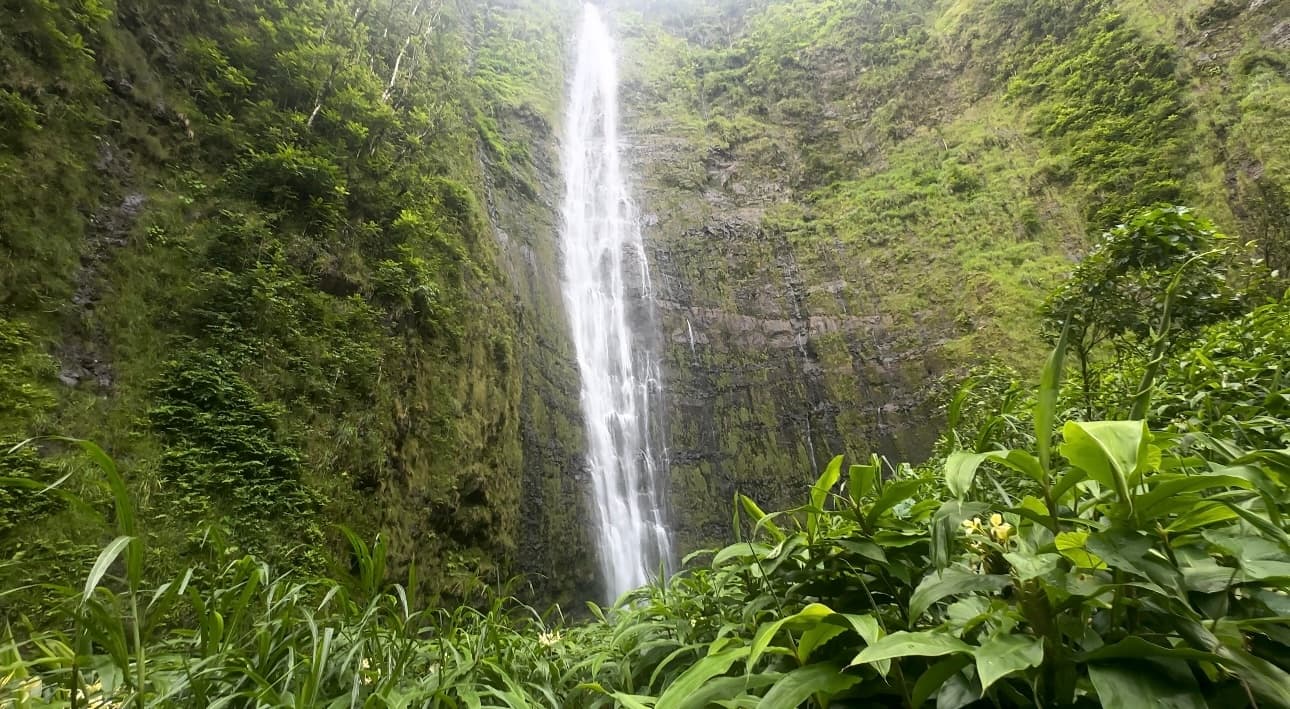 Pipiwai Trail Jeep Tour with We Wave Logistics in Maui