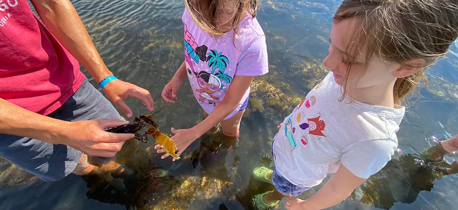 Nature Programs at Odiorne Point, Rye NH