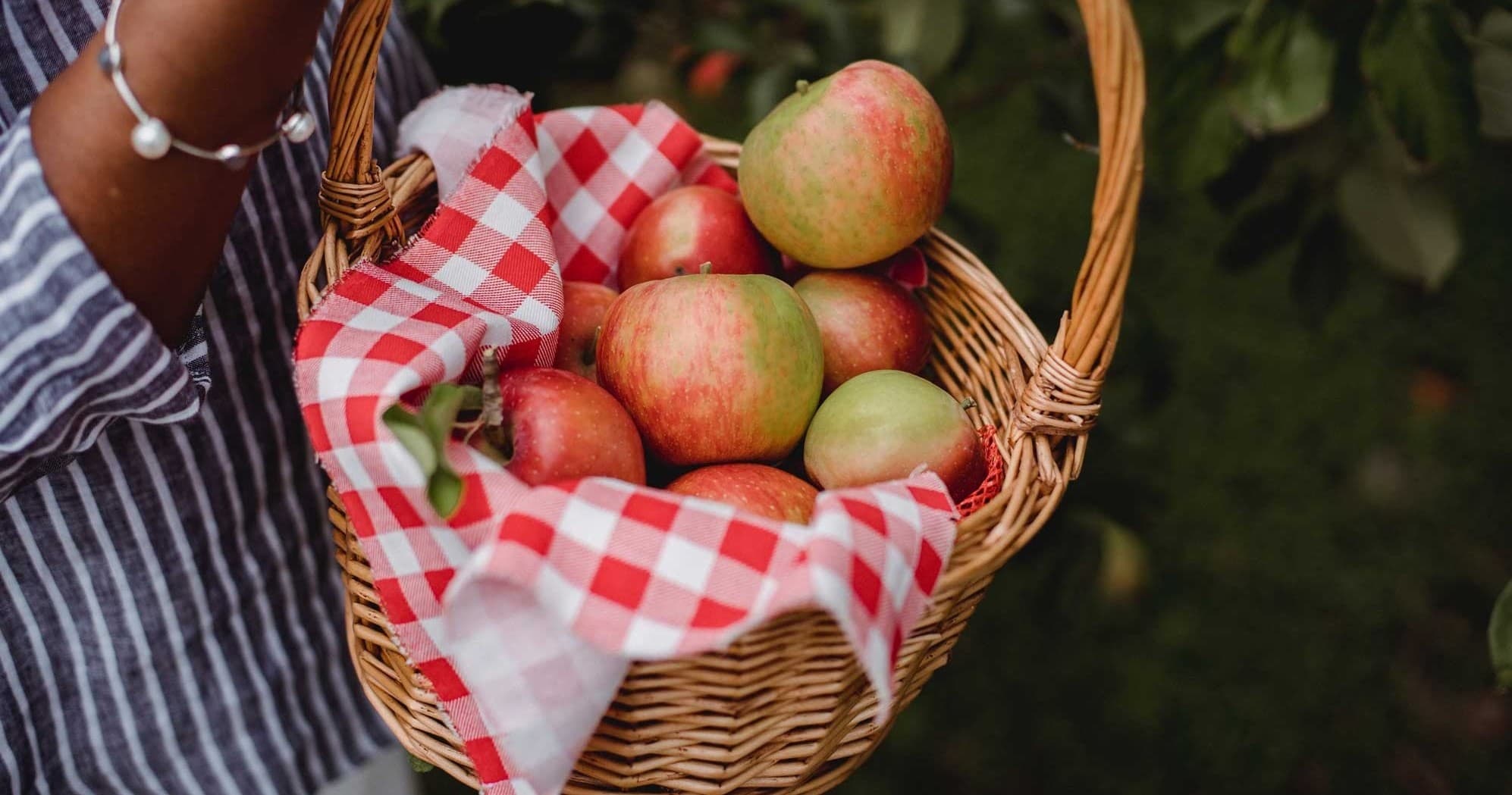 Ricker Hill Orchards team