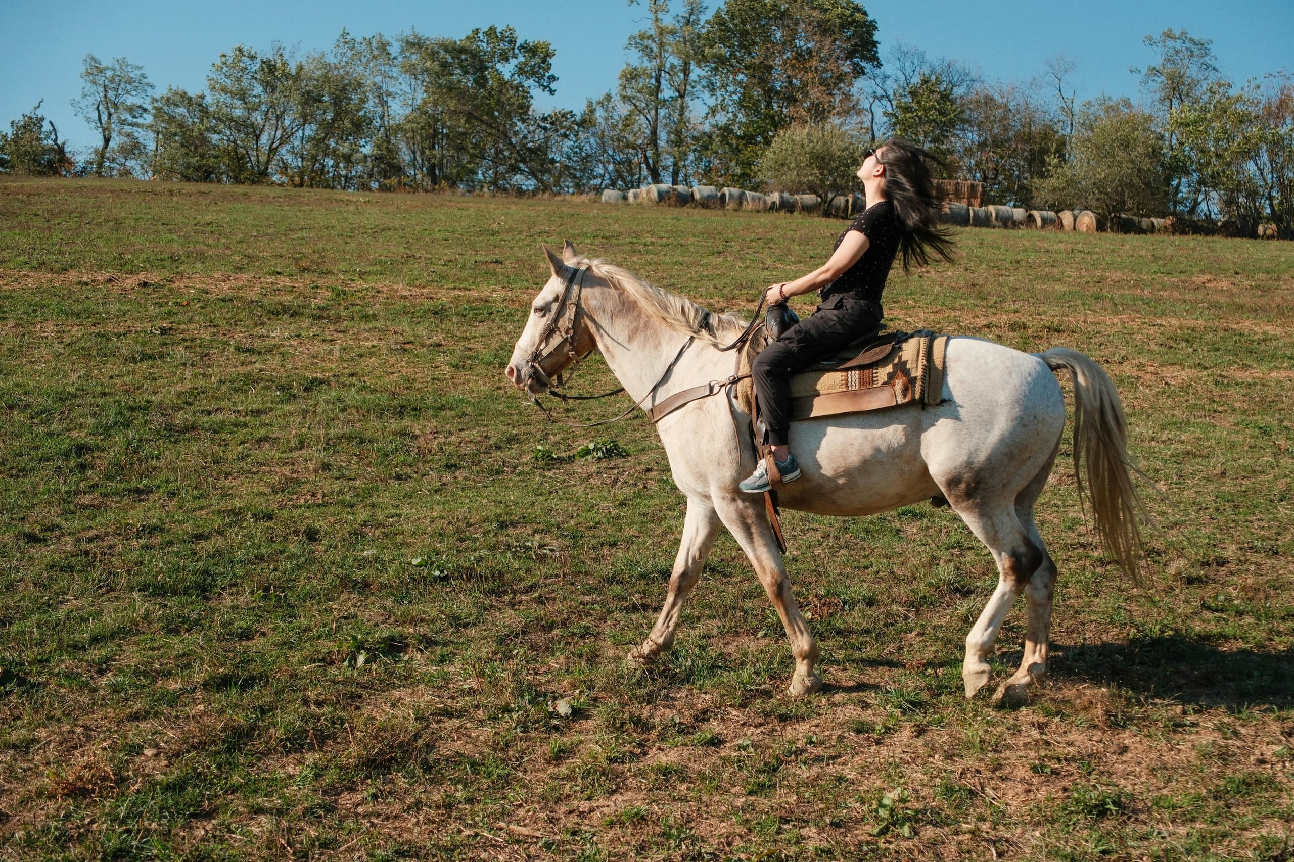 Ranch Ride in Manor: Explore Texas Hill Country on Horseback
