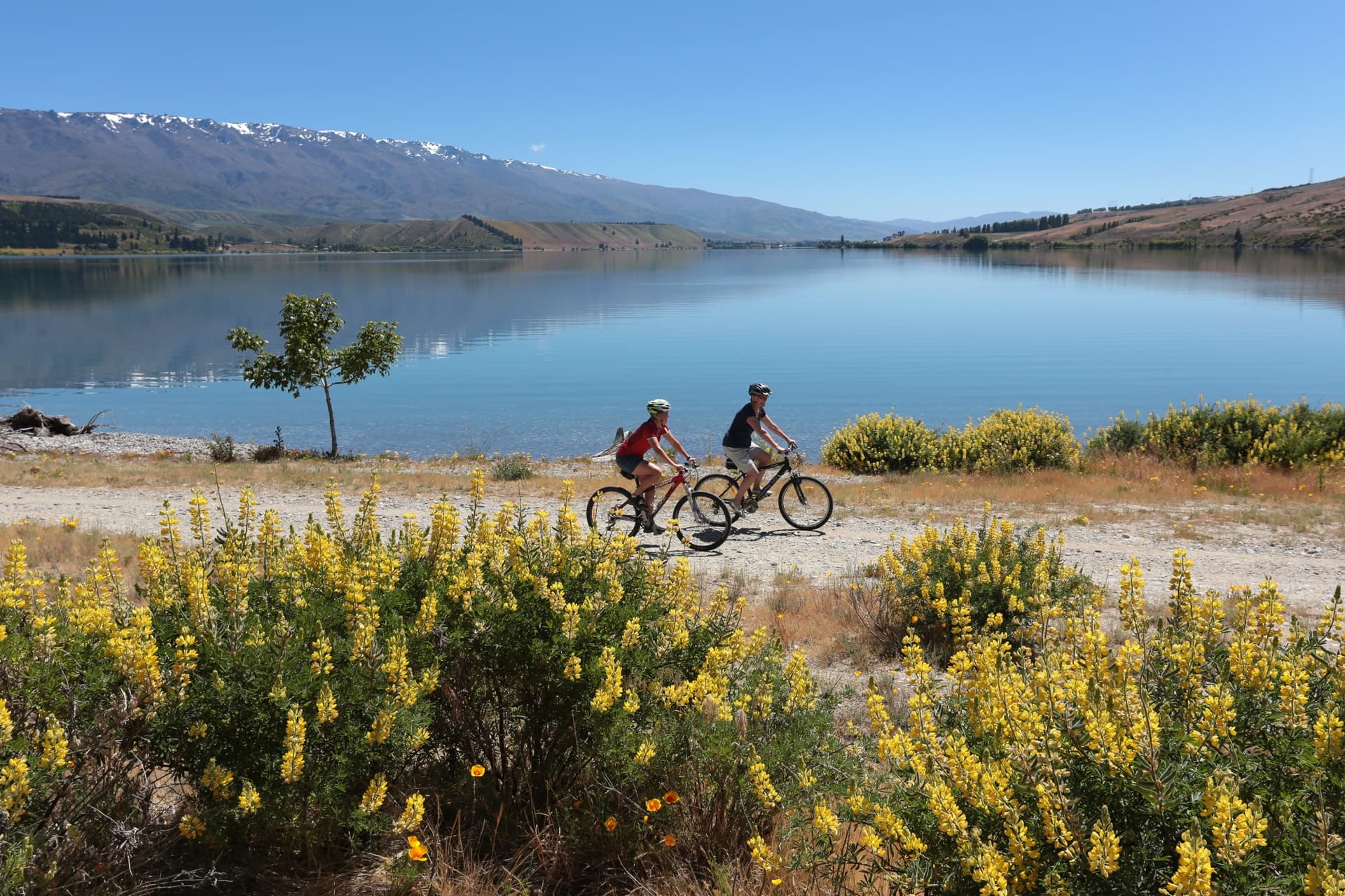 Bike & Shuttles in Queenstown – Lake Dunstan Trail Adventure