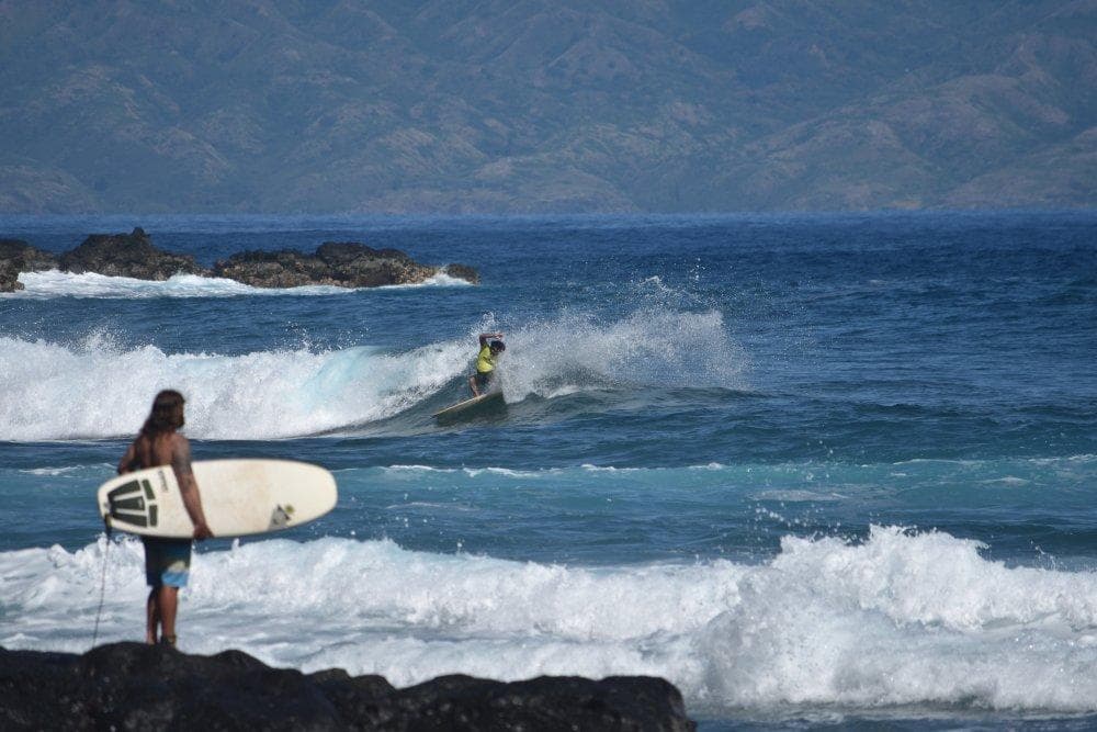 Surfari