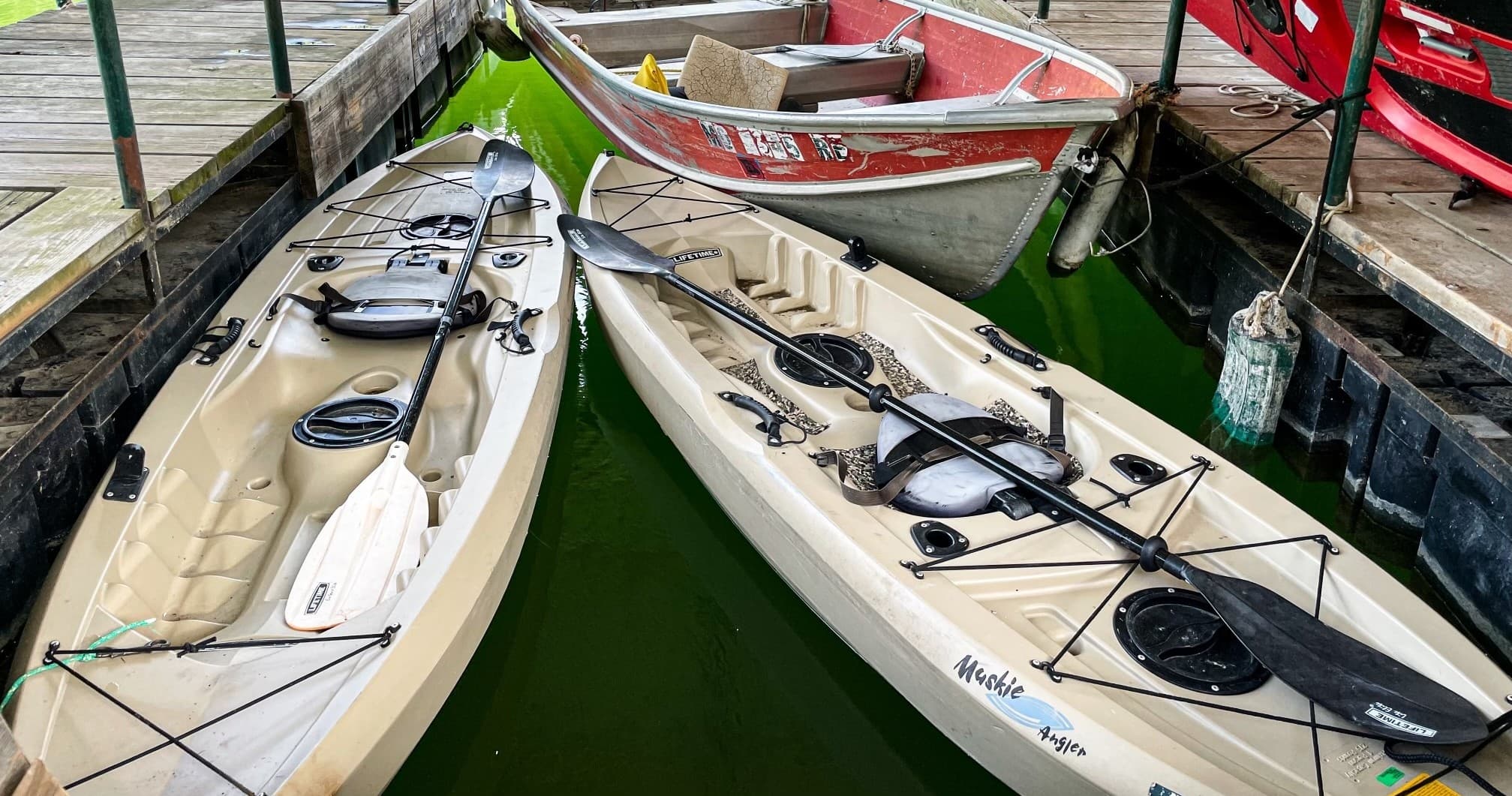 Kayaks moored at wooden dock in green reservoir marina
