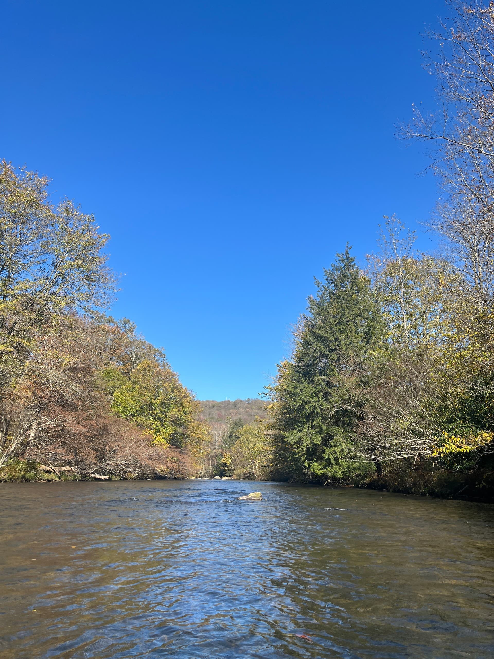 Paddle the West Branch Clarion River — Wilcox to Johnsonburg 7-Mile PA Wilds Float photo 3