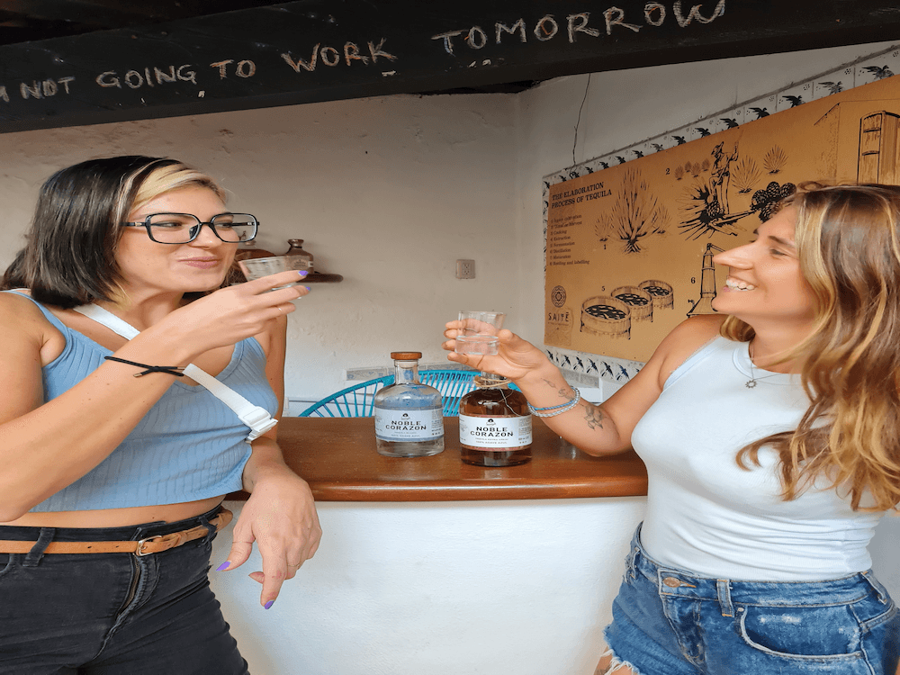 Essential Agave Journey: Tequila, Mezcal & Raicilla Tasting in Puerto Vallarta