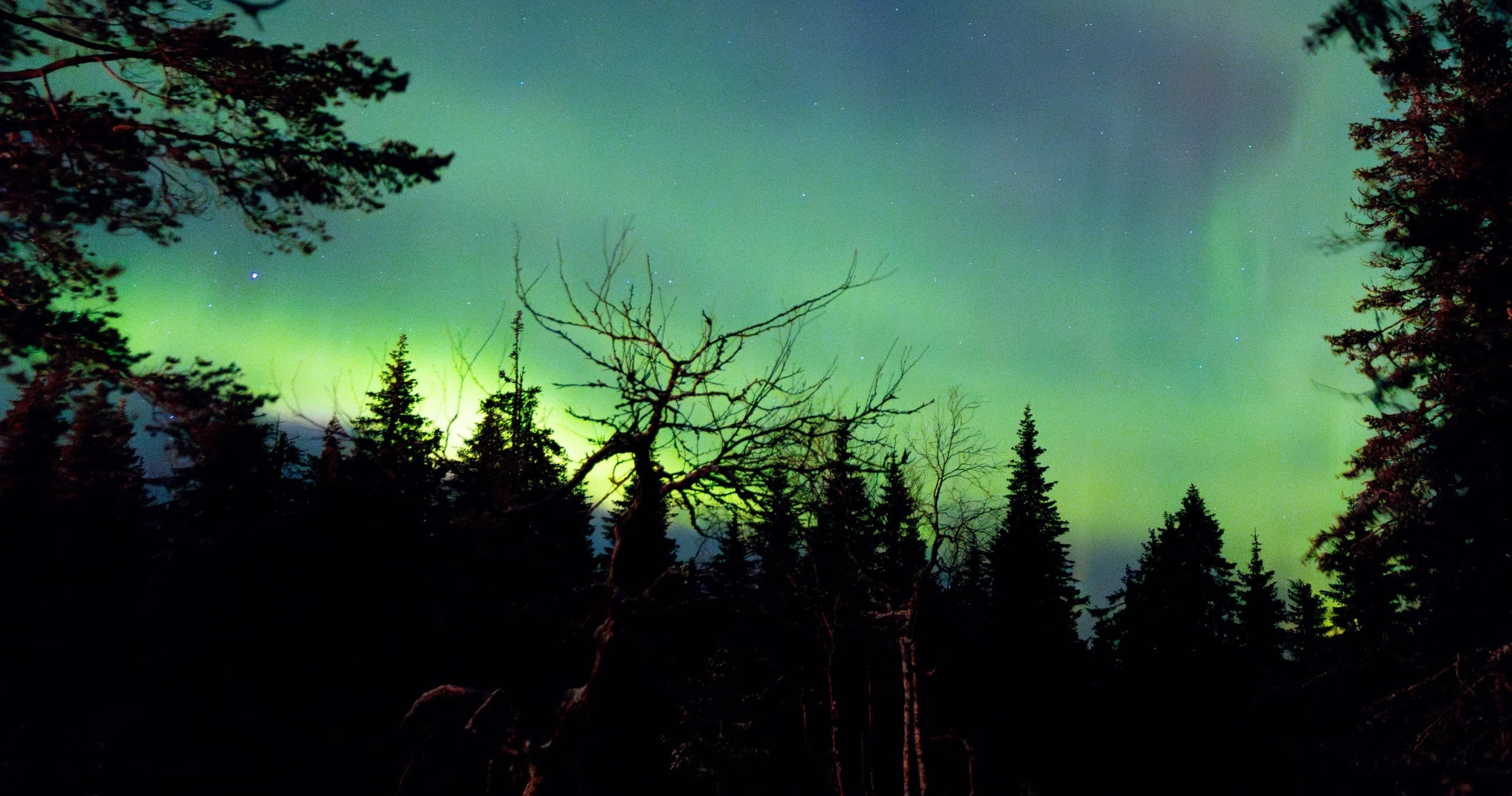 Pikku-Syöte Night Snowshoe: Aurora Hunts & Hut Fires on Finland’s Fells