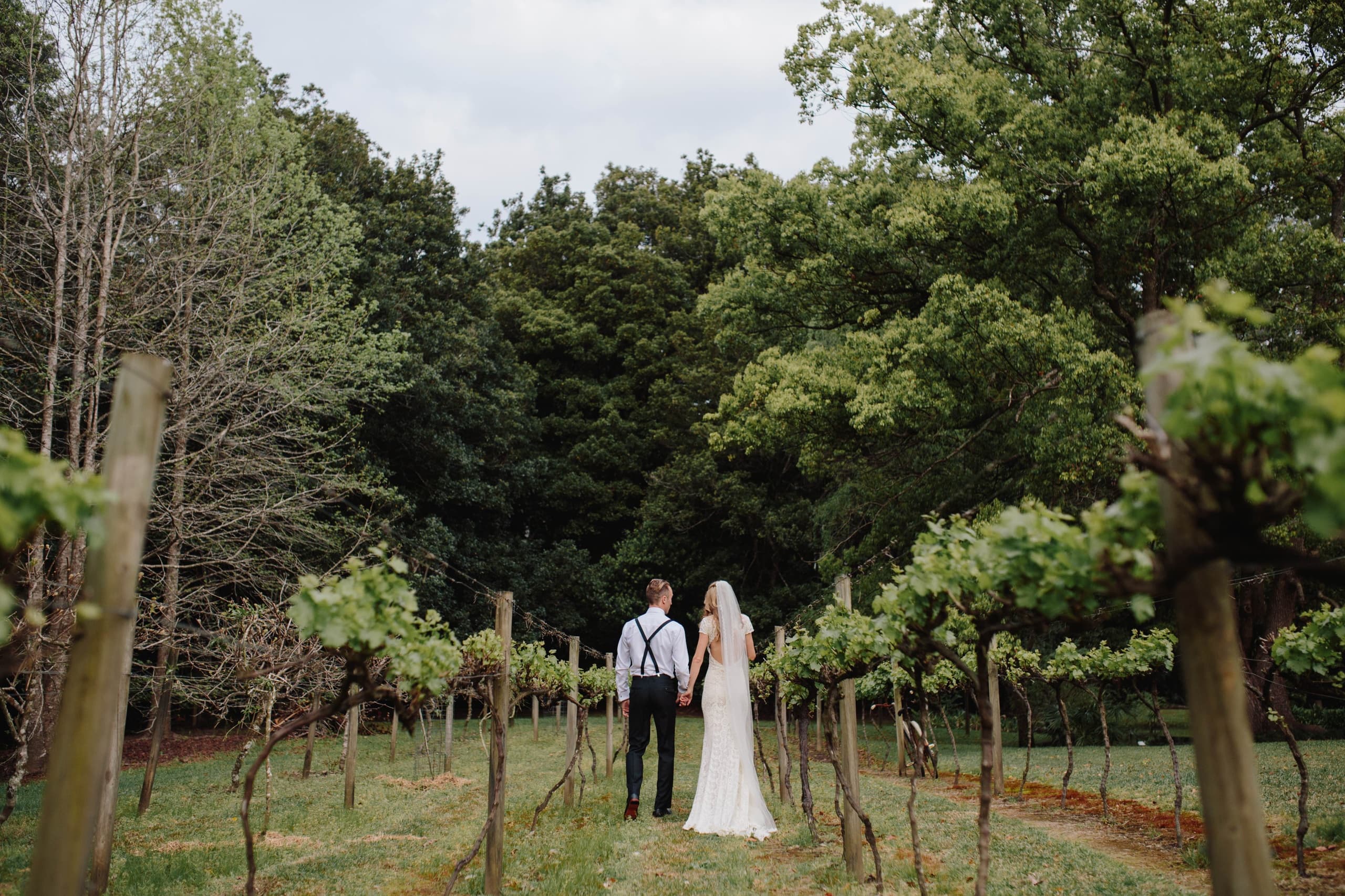 Couple walking between vineyard rows at scenic winery estate