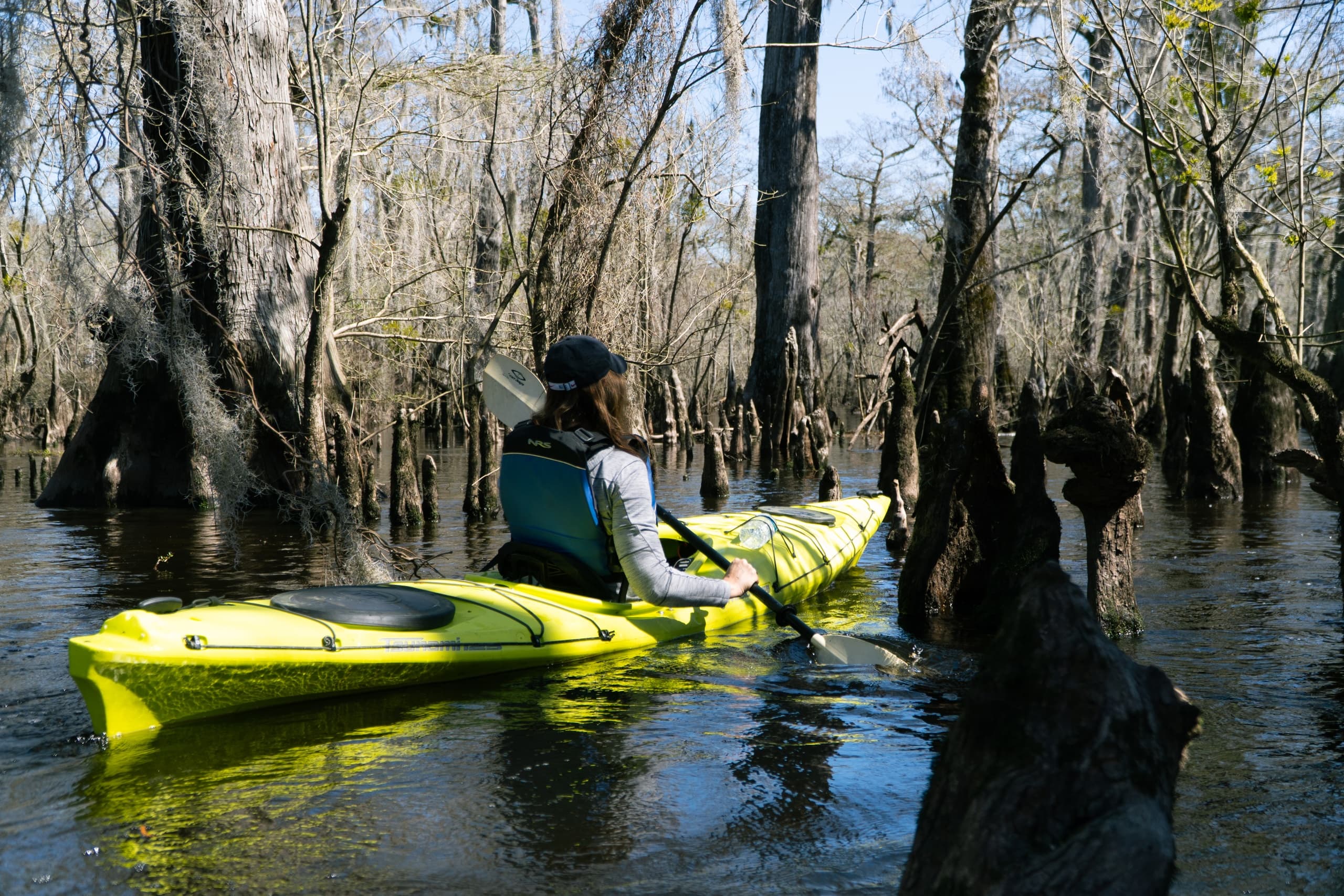 Water Activities & Frog Hollow Outdoors: Black River Paddle in NC