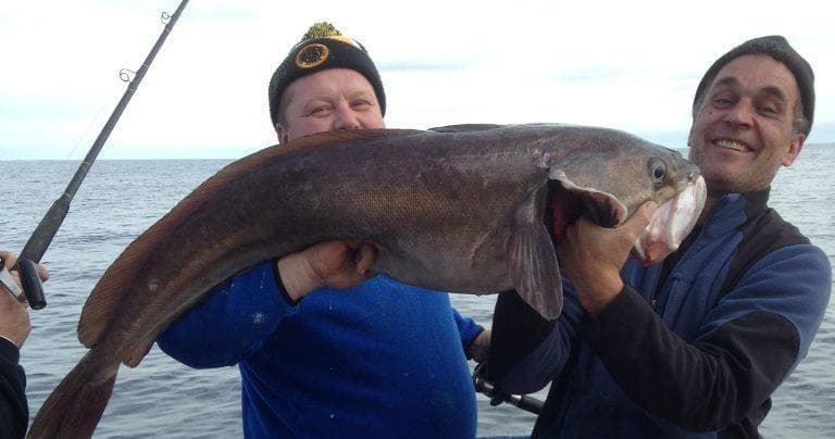 Marathon Fishing Trips in Gloucester: Full-Day Adventure
