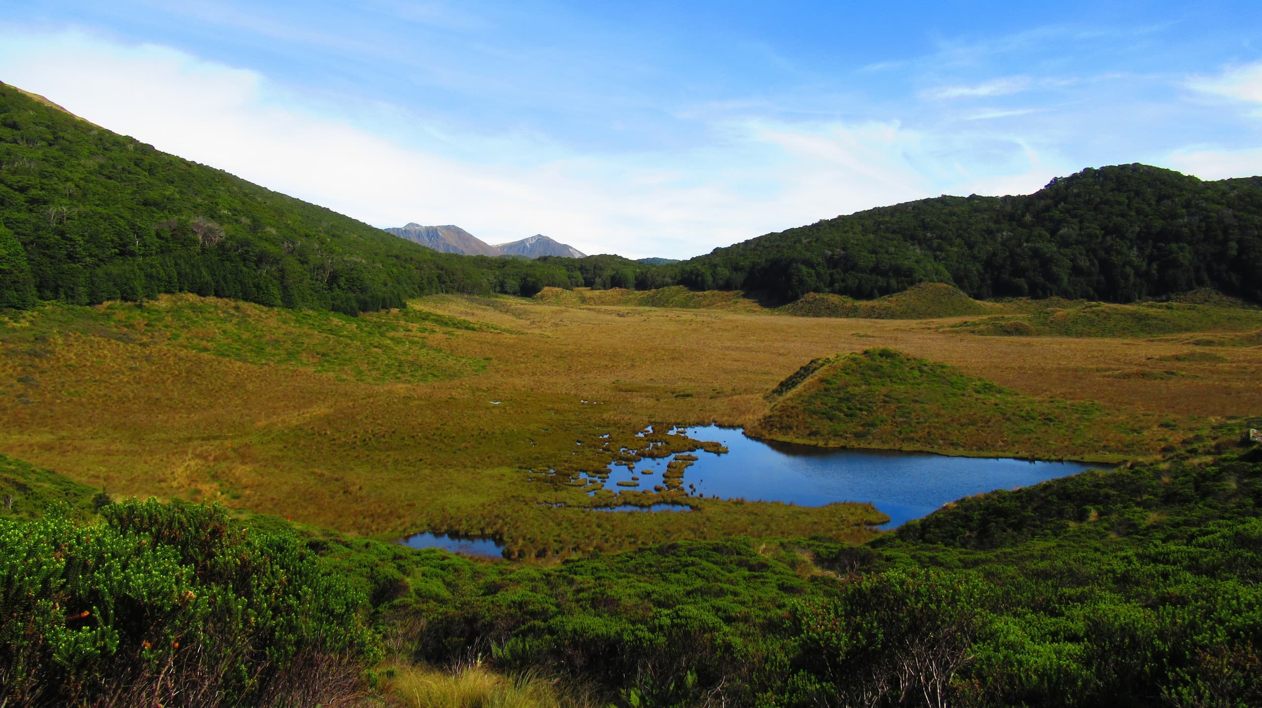 Green Lake Wilderness Escape: Two-Day Hut Overnight in Fiordland photo 1