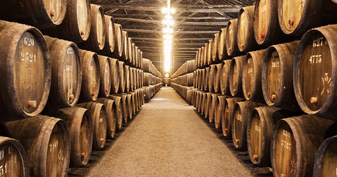 Wine & Culture Tour at Port Wine Aging Experience