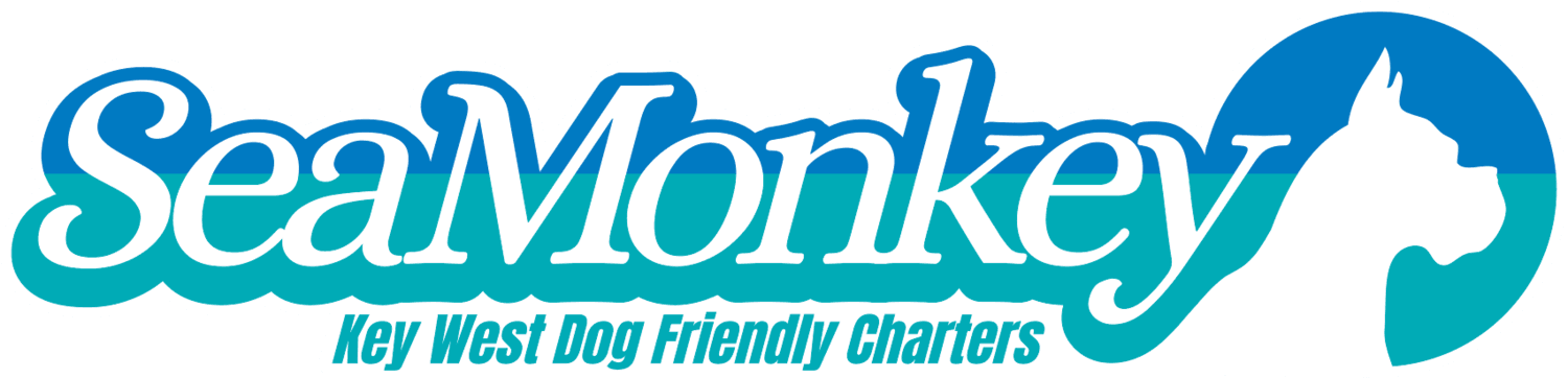 Sea Monkey Deux Private Charters in Key West: Sandbars, Snorkel & Southernmost Point photo 1
