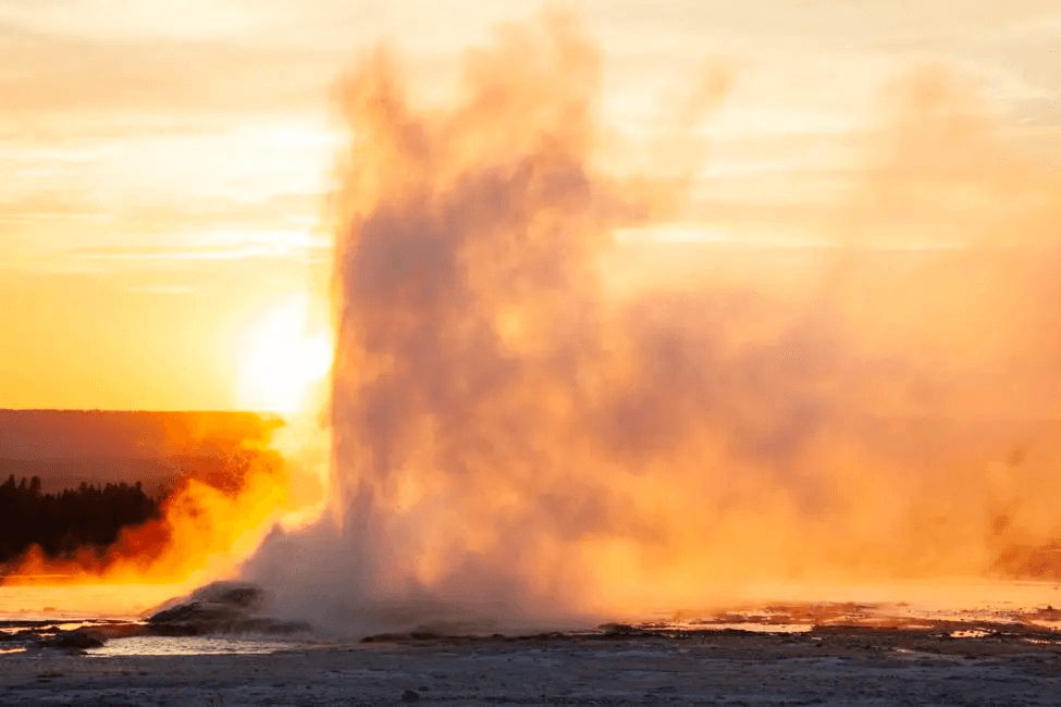 Yellowstone Safari Company | Full-Day Private Tour in Cody