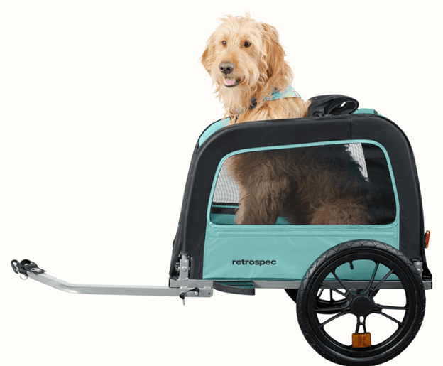Adventure Awaits: Explore Surf City with Your Pet in a Bike Trailer Rental