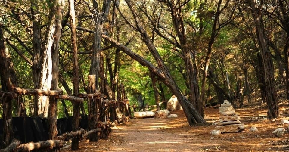 Land Adventures with Wimberley Parks at Blue Hole