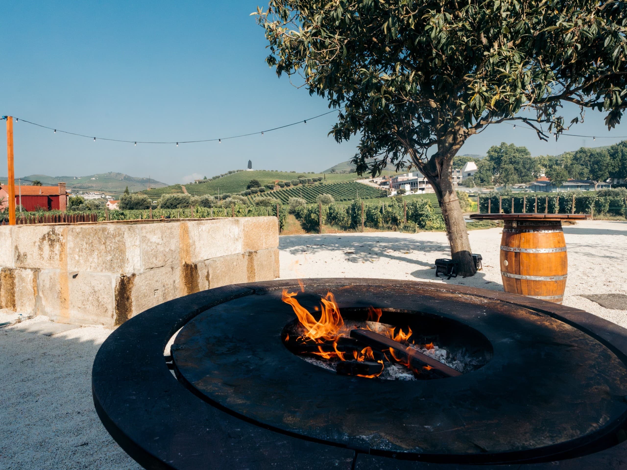Vine & Flame at Quinta da Pacheca: Wine Tasting and Fire-Cooked Lunch in the Douro photo 4
