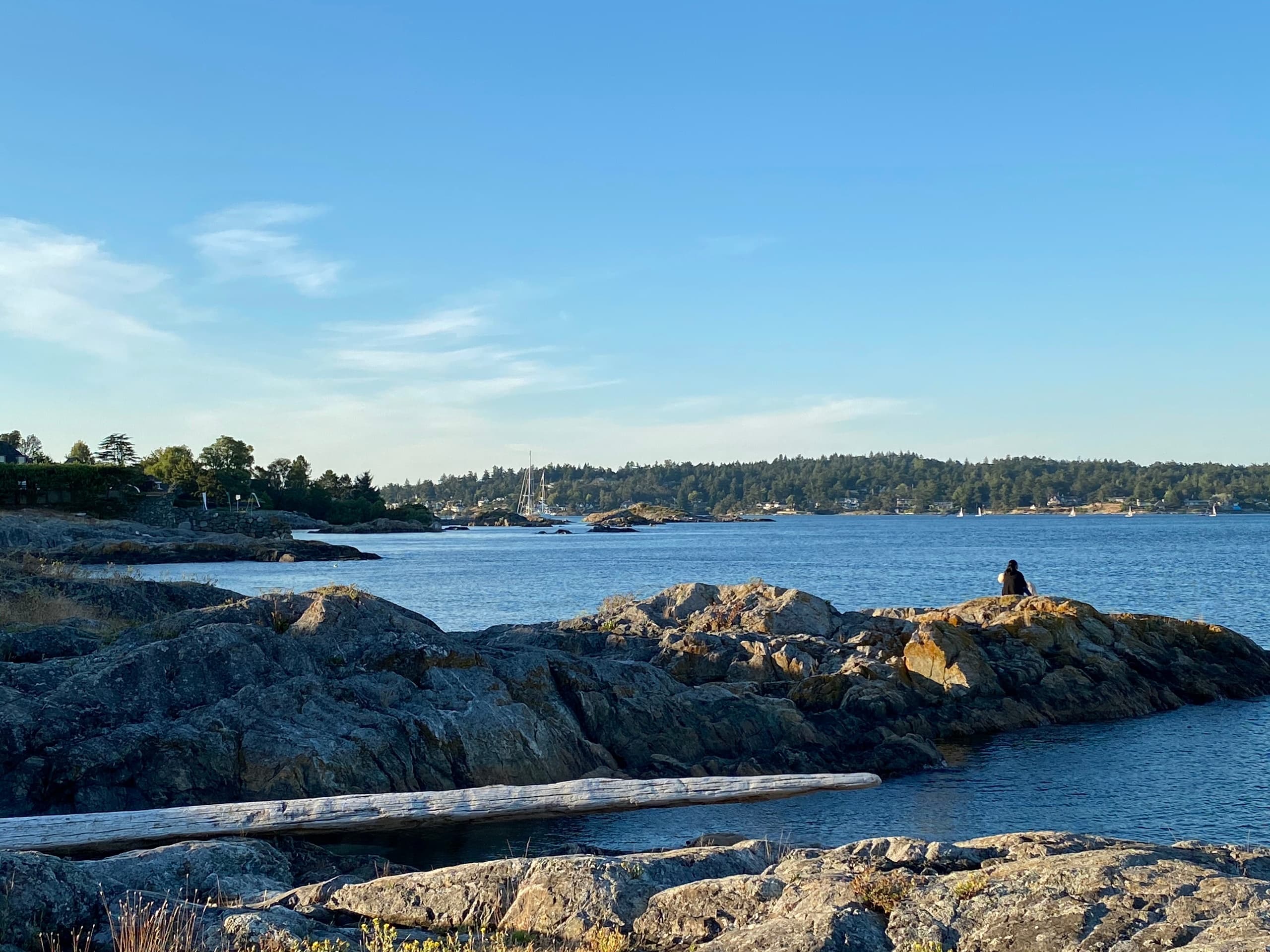 Rocky shoreline with hiker enjoying ocean views on coastal hike