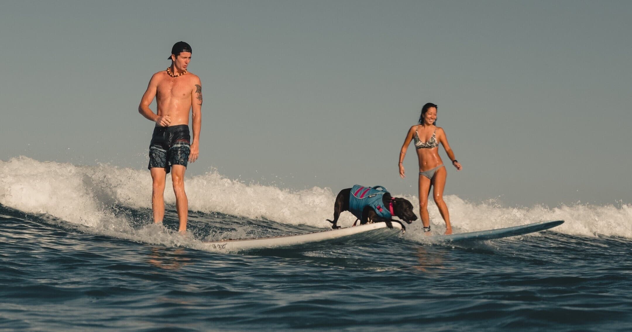 Two surfers and a dog catching a wave on open ocean in Hawaii