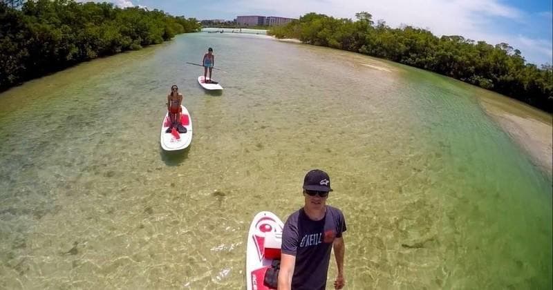 Stand-up paddleboarders gliding through shallow mangrove channel