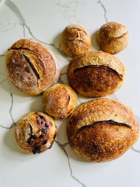 Land Adventures at Parkwood National Historic Site with Sourdough Simplified