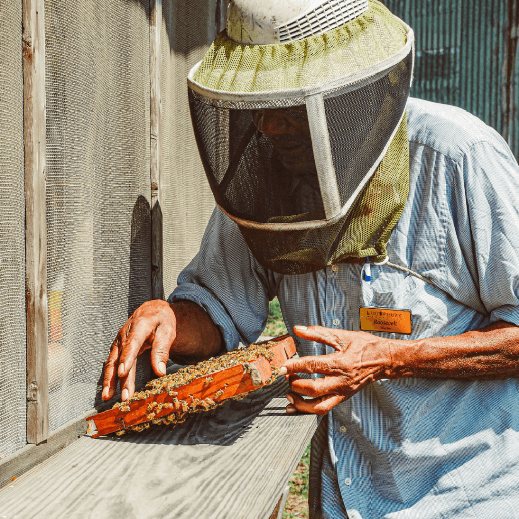 Land Adventures at BeeWeaver Honey Farm – Beekeeping & Honey Tasting
