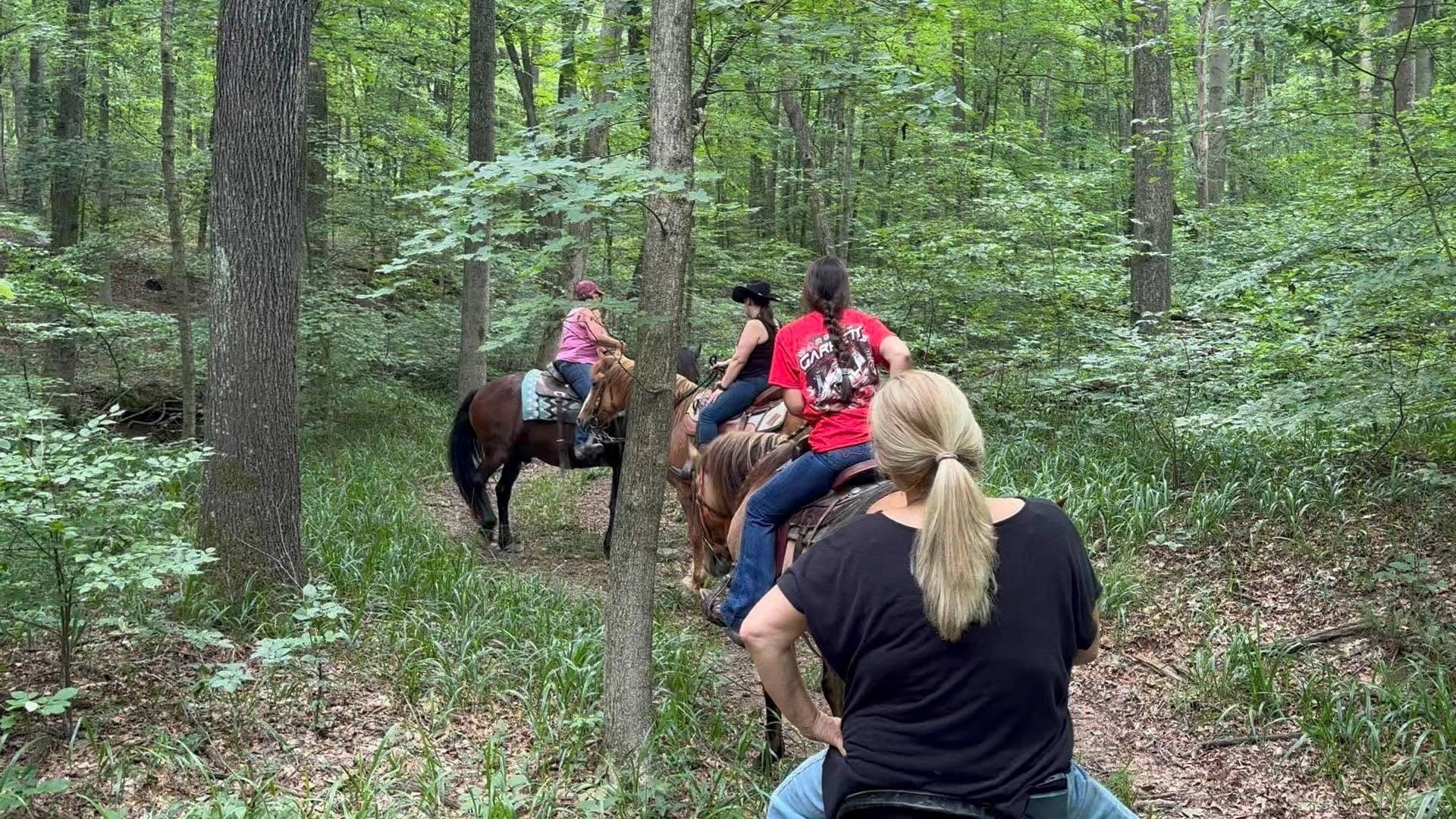 Horseback Riding in Indiana’s Rolling Hills: 1-Hour Guided Trail Ride in Dubois