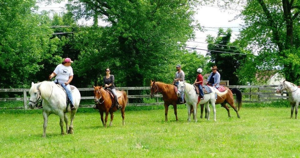 Group horseback riders trotting across green pasture in summer