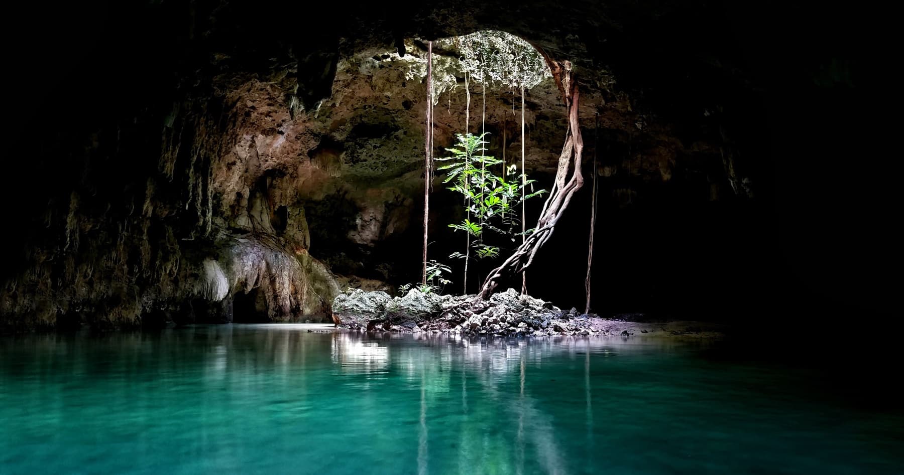 Snorkel Cenotes: Half-Day Dive into Riviera Maya's Underwater Caves photo 3