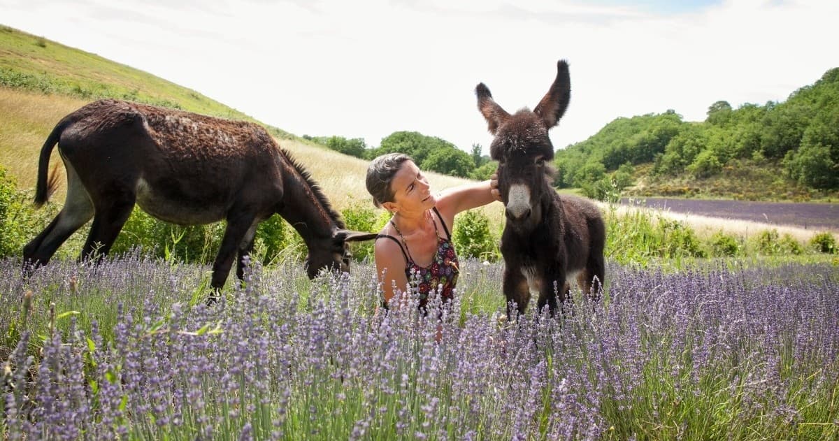 Wildlife & Farm Tour at Donkeys & Eco-Farm in Gers