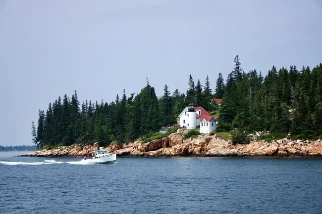 Sail the Schooner American Eagle: 4-Hour Day Sail from Rockland Harbor, Maine photo 3