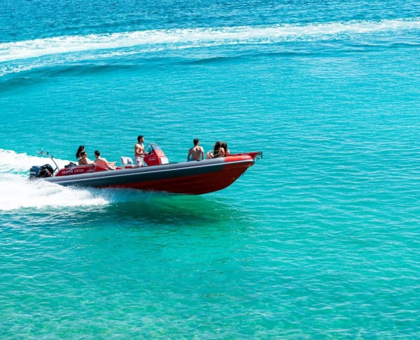 Red speedboat skimming clear tropical water during day tour