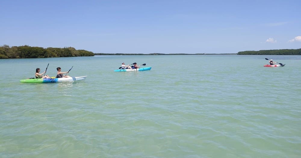 Group kayaking on calm green water with distant tree-lined shore