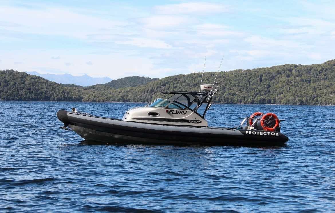 Fiordland Adventure in 60 Minutes with Cruise Te Anau