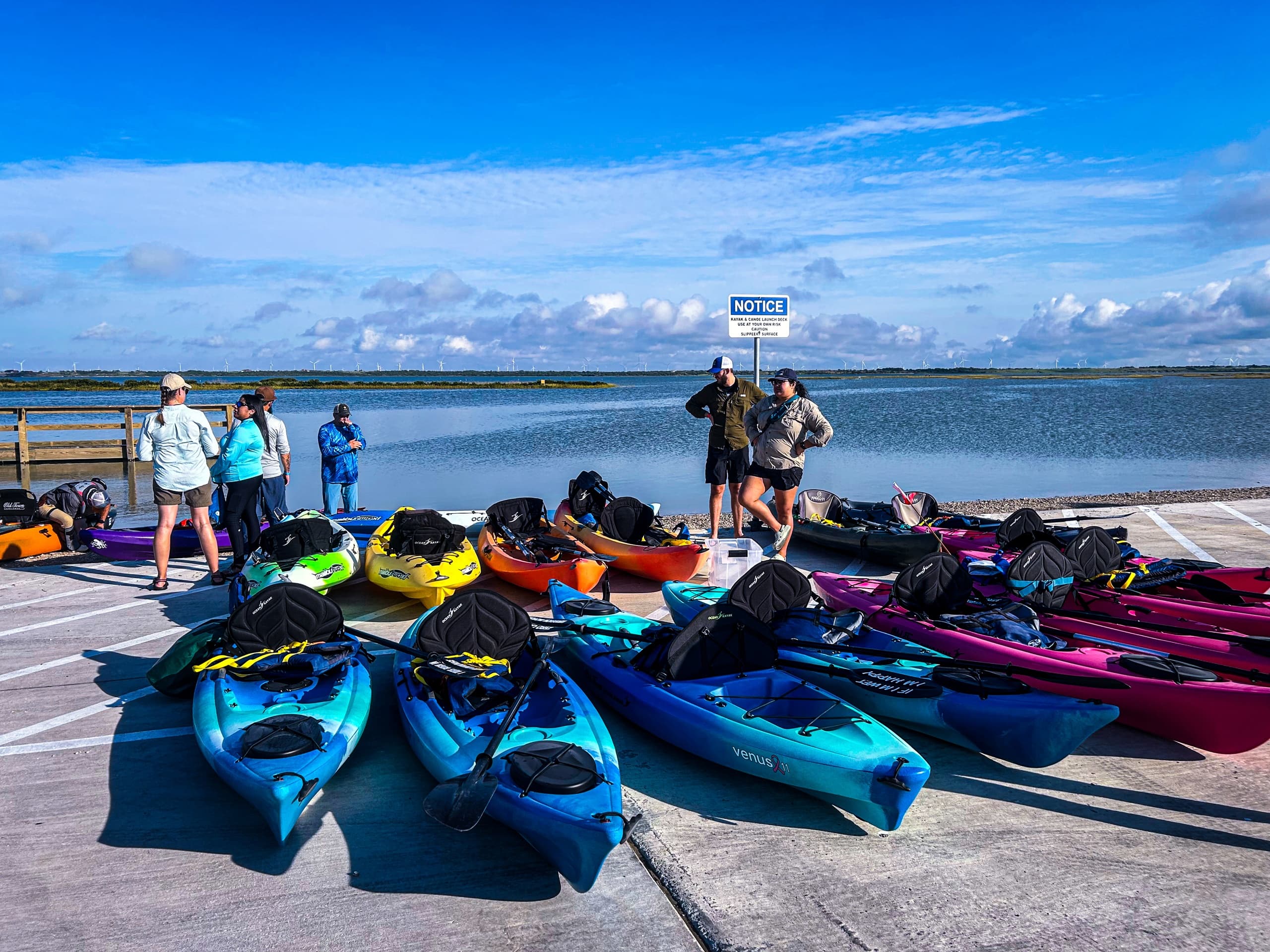 Colorful rental kayaks lined on dock ready for coastal tours