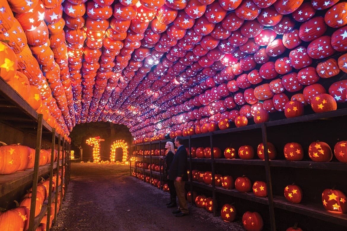 Autumn Light Show at Great Jack-O'-Lantern Blaze