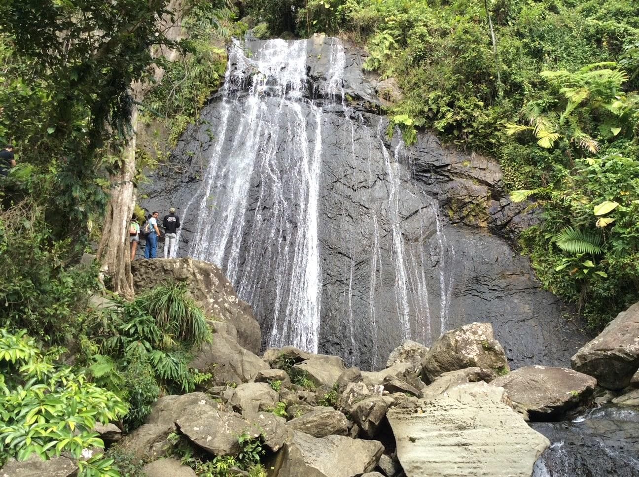 Scenic waterfall cascading over rocks in lush rainforest