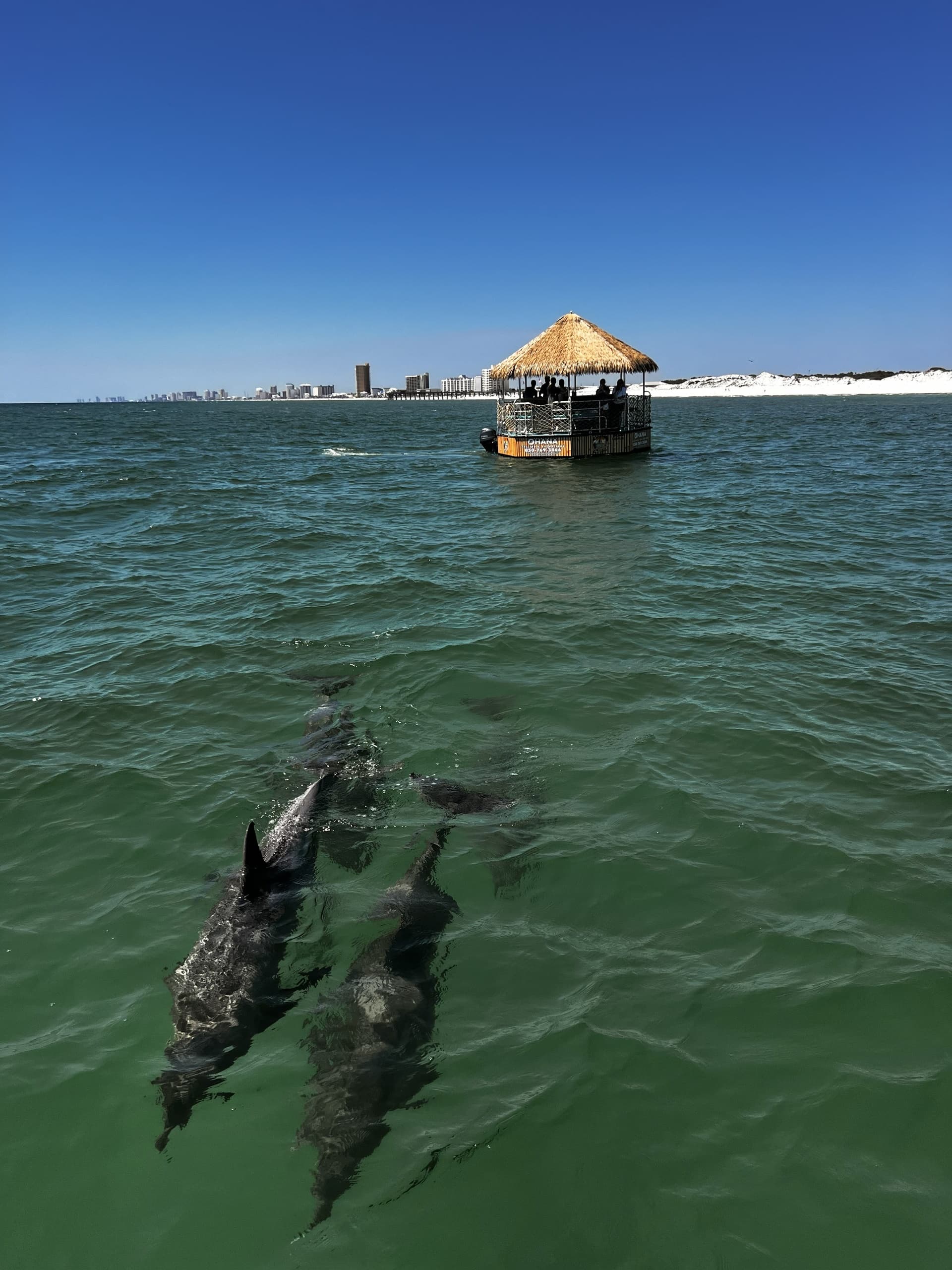 Cruise Grand Lagoon: 90-Minute Tiki Boat Dolphin Tour in Panama City Beach