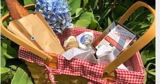 Picnic basket with snacks and blanket on island park foliage