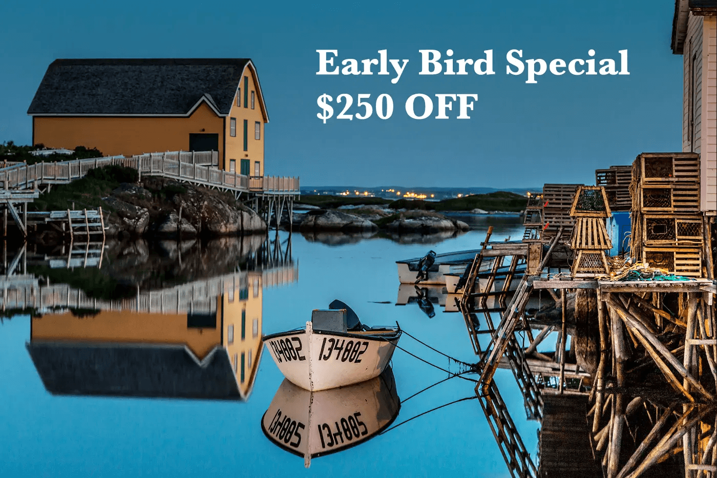 Photograph Newfoundland's Puffins, Gannets, and Whales: 6-Day Coastal Photo Tour (July 6–11, 2027)