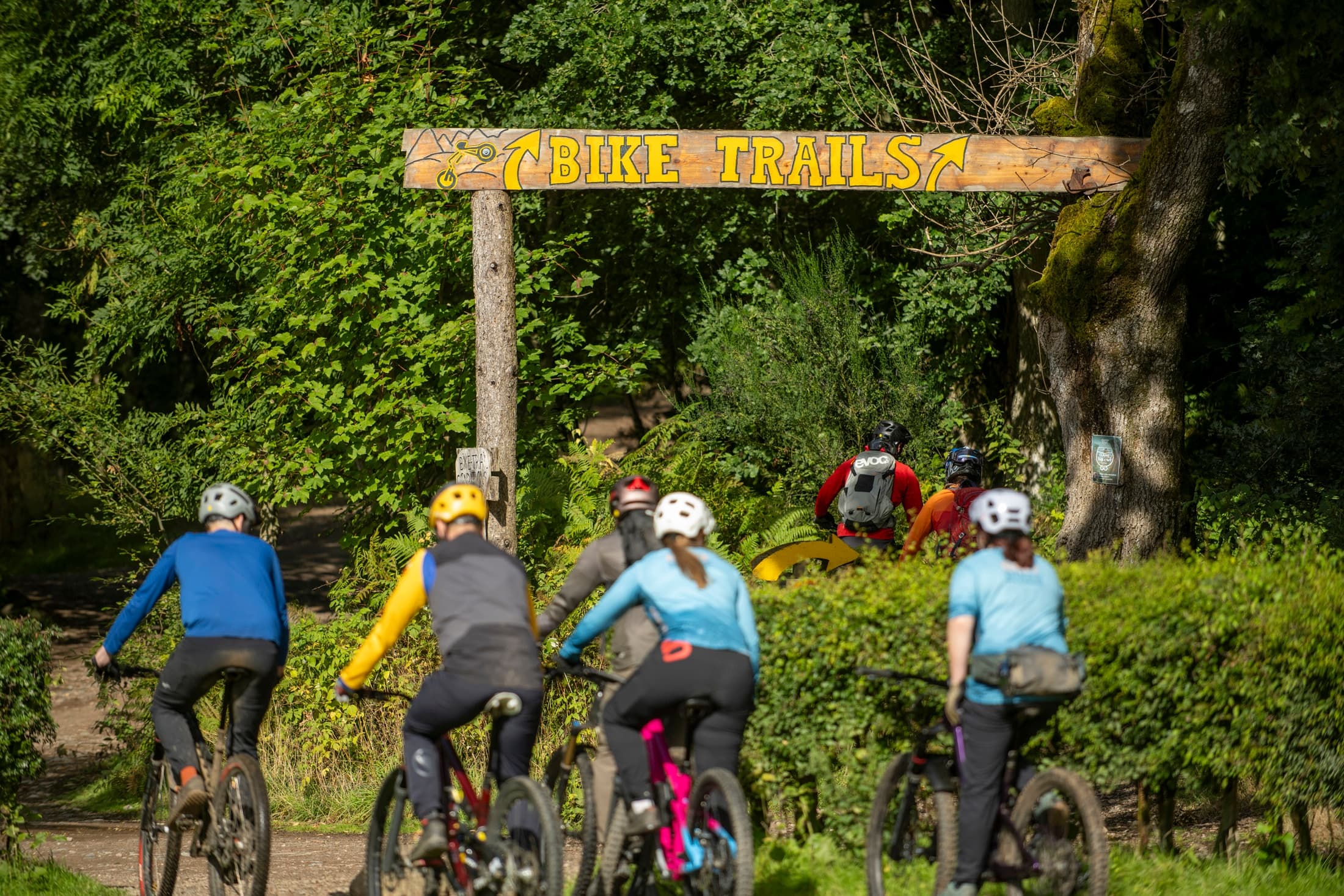 Group mountain bikers entering wooded bike trails under sign