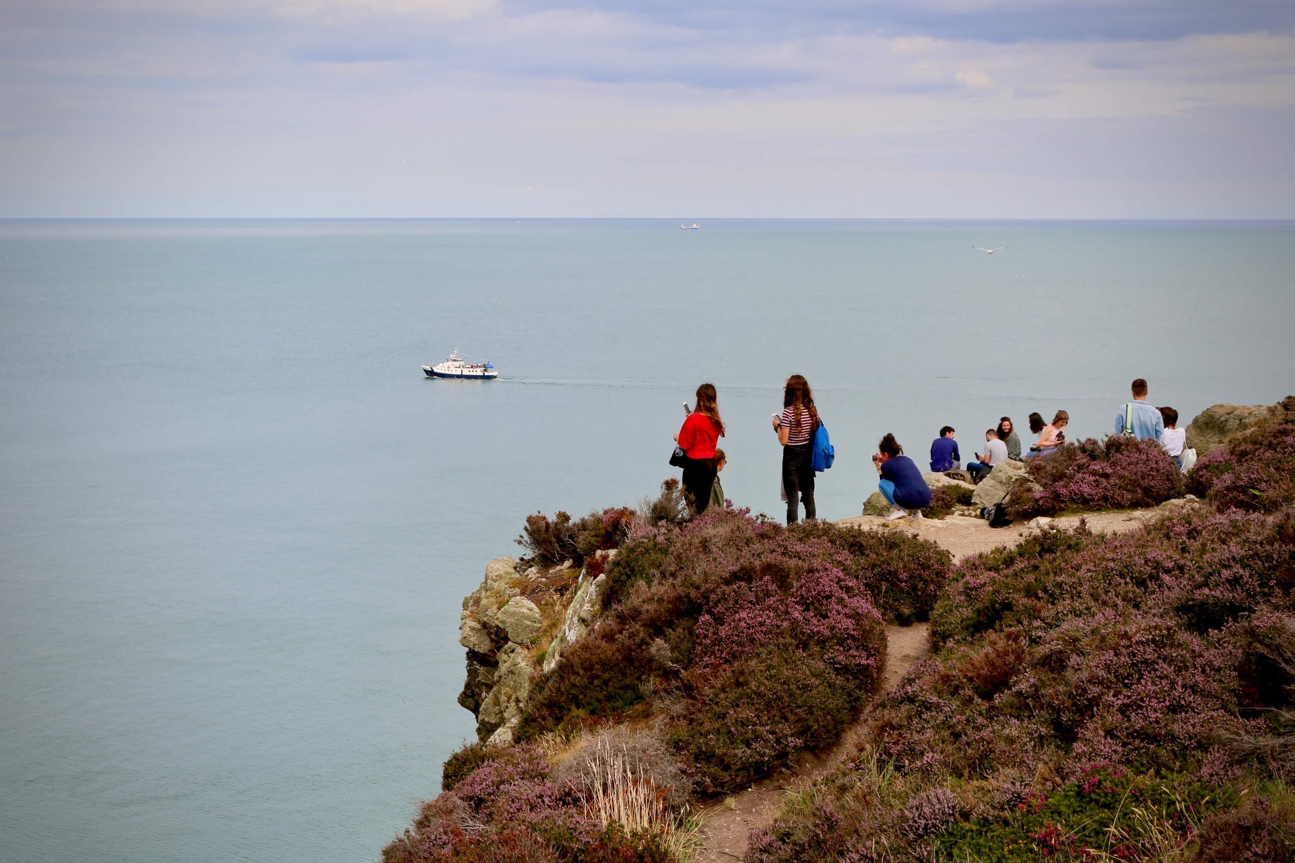 Howth Cliff Path Guided Walk: 90-Minute Coastal Hike from Dublin photo 4