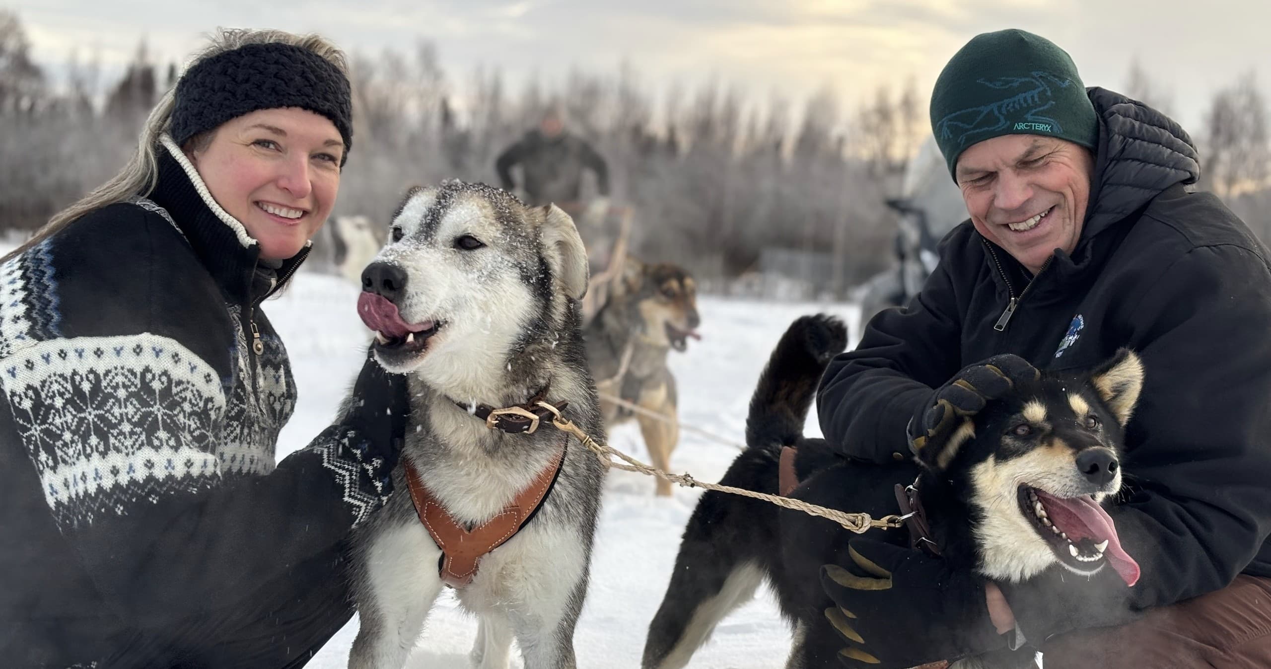 Unforgettable Dog Sledding Adventures in Silverthorne, Colorado