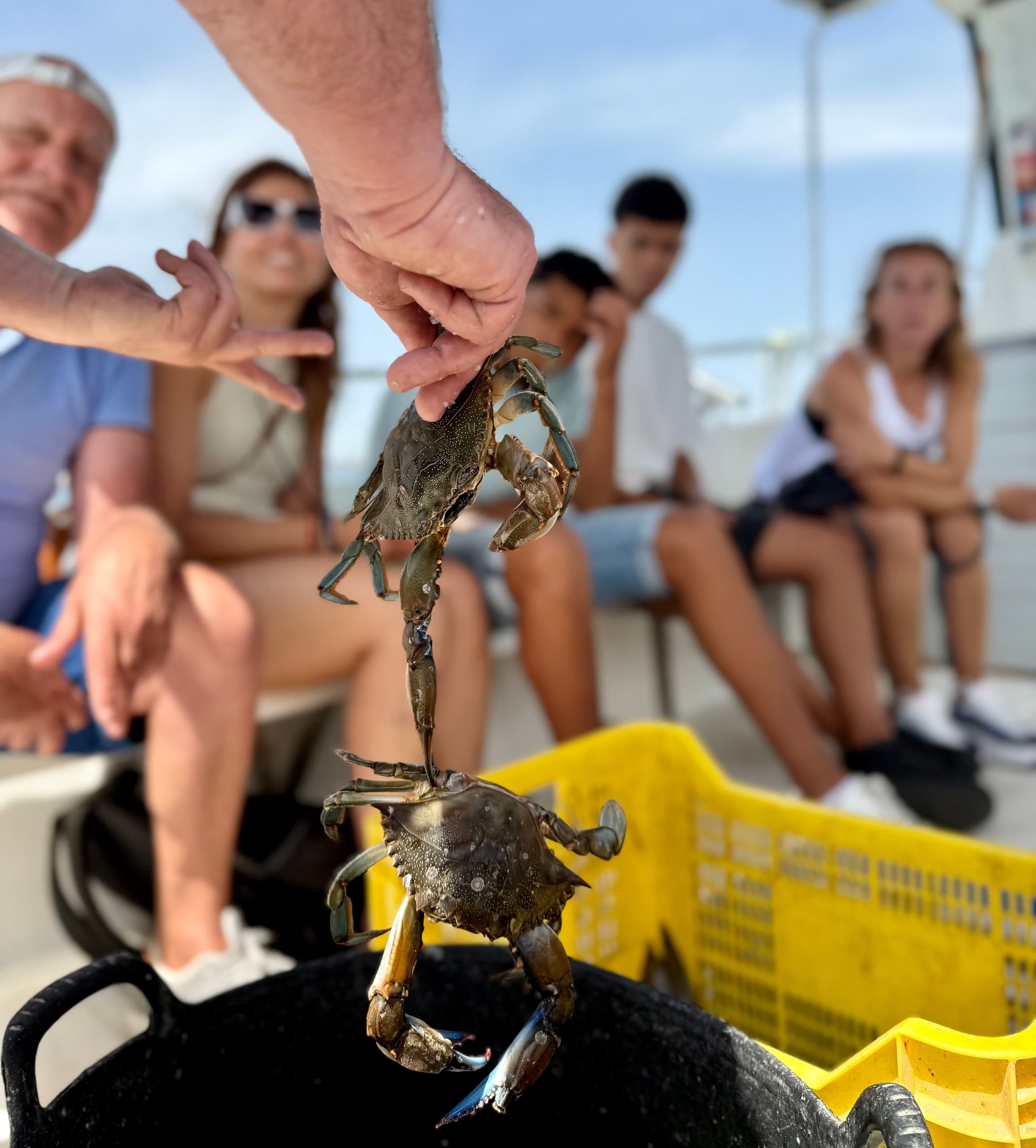 Traditional fishing on the Mar Menor: auction, boat trip & fresh seafood tasting