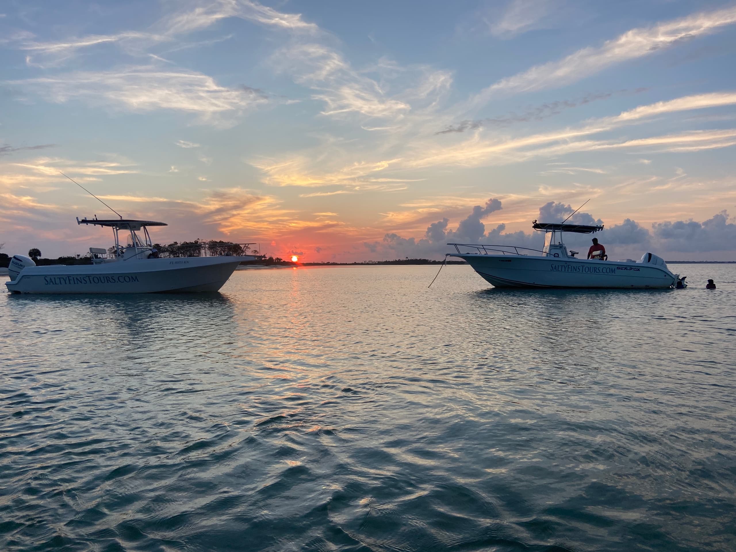 Sunset Dolphin Tour with Salty Fins in Panama City Beach
