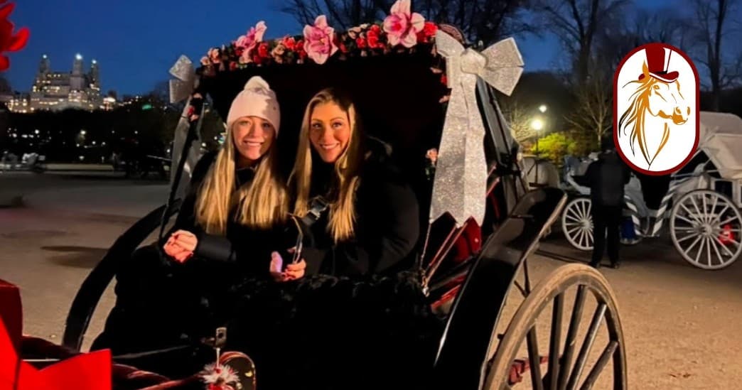 Nighttime Land Adventure: Top Hat NY Horse & Carriage Rides