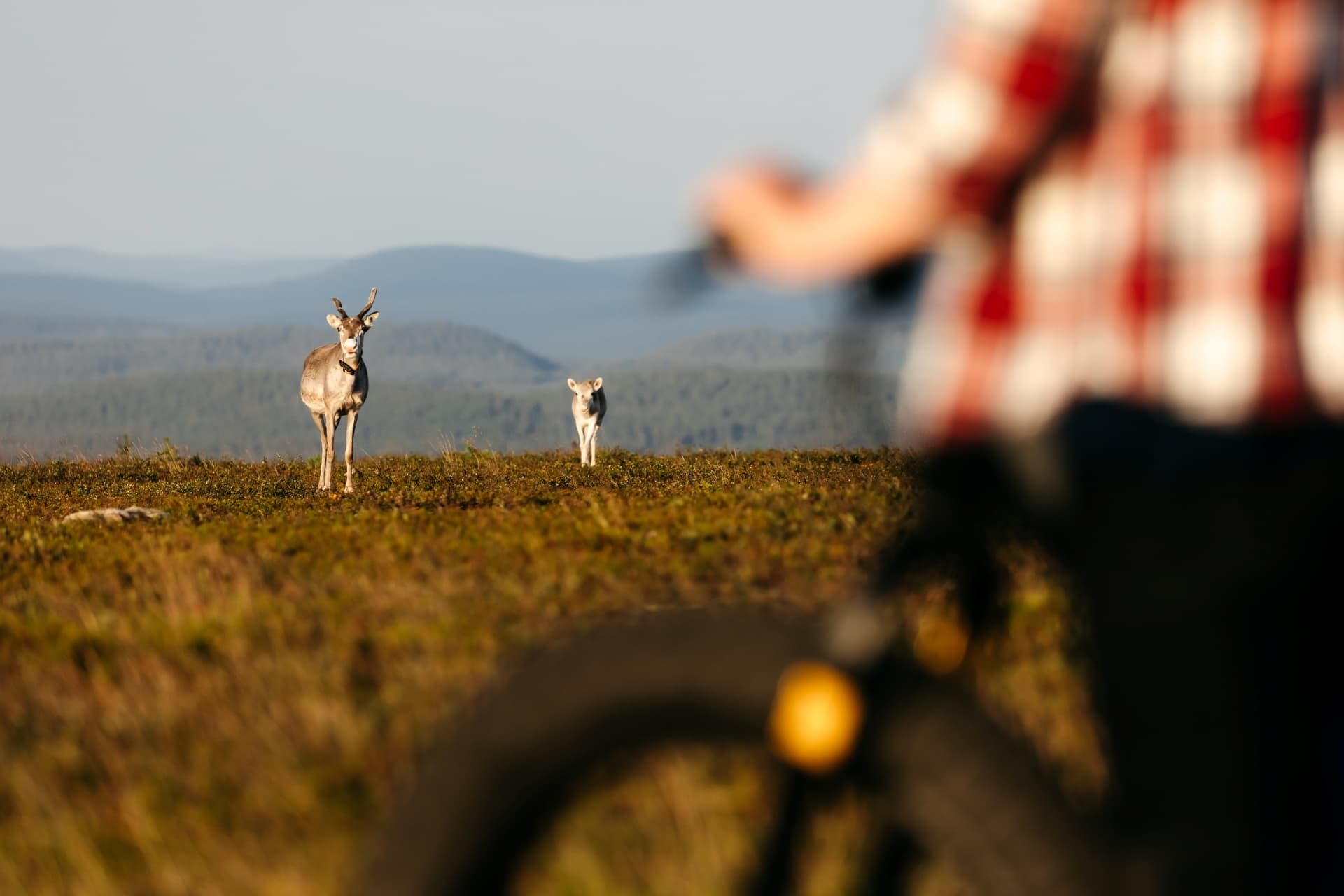 E-Fat Bike Adventure with Wilderness Hotel - Muotka