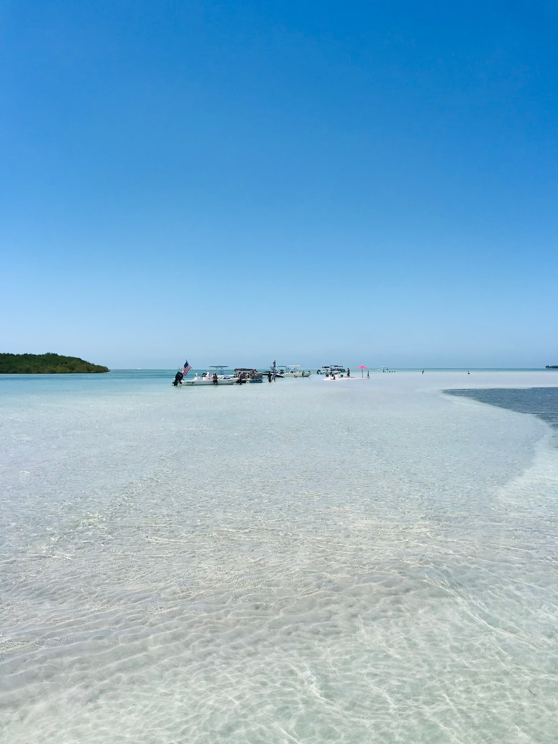 Private Sandbar Excursion in Key West, Florida